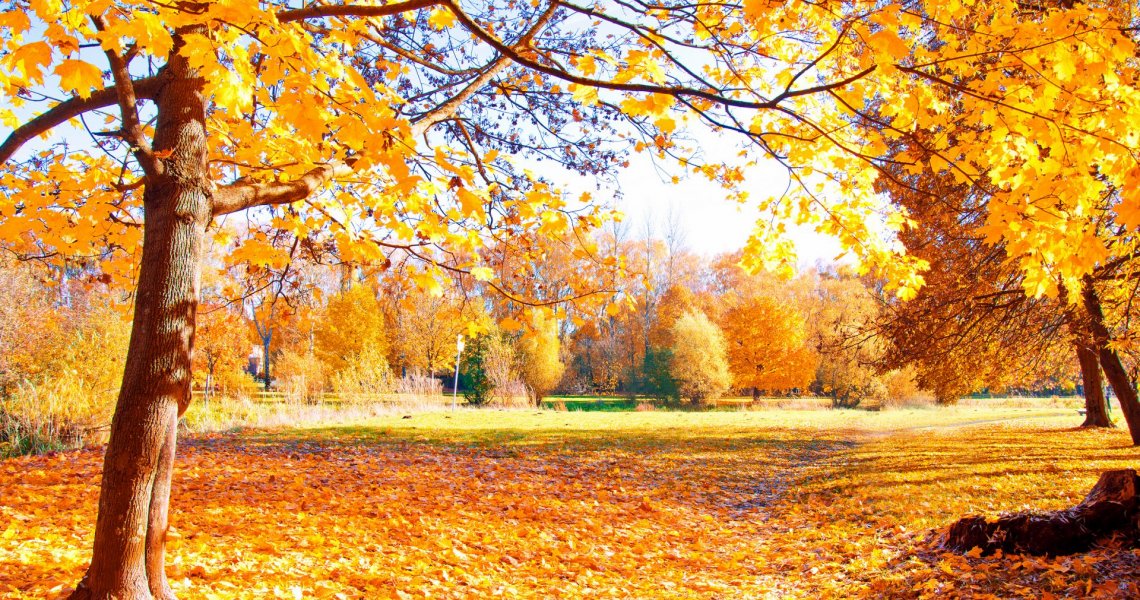 6 propositions pour votre automne sur le Lac de Garde 6 propositions pour votre automne sur le Lac de Garde